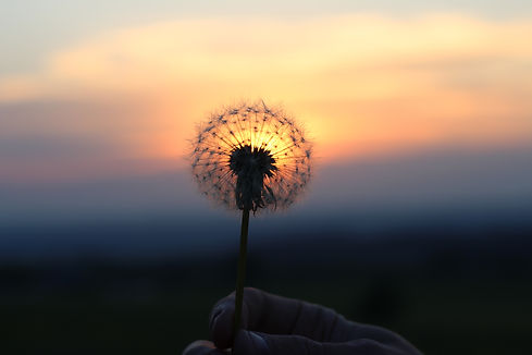 AdobeStock_112002416.jpeg