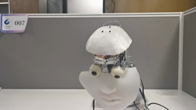 face-short.gif