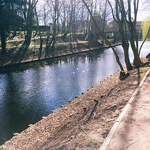 20181103_033803_137.JPG