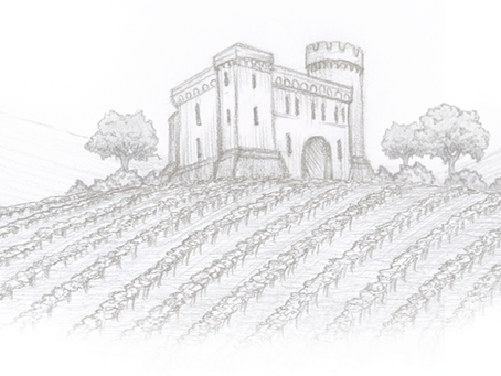 Rocca Dei Sanniti Vineyard + Wine Feature