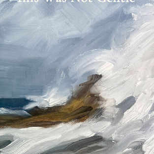 This Was Not Gentle poetry book by Shelley Hall, Australian poet