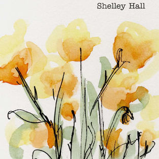 My Beautiful Scars poetry book by Shelley Hall, Australian poet