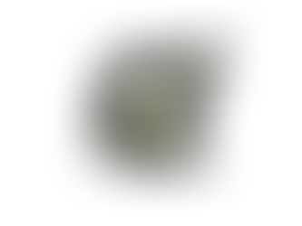 The Strategic Disruptor