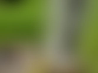 Dessablage d'un puits filtrant 40 ml de profondeur