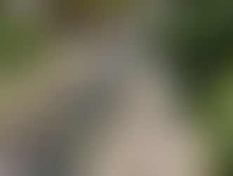 Déviation d'un torrent avec 2 tuyaux DN 300mm, pour permettre des travaux de construction