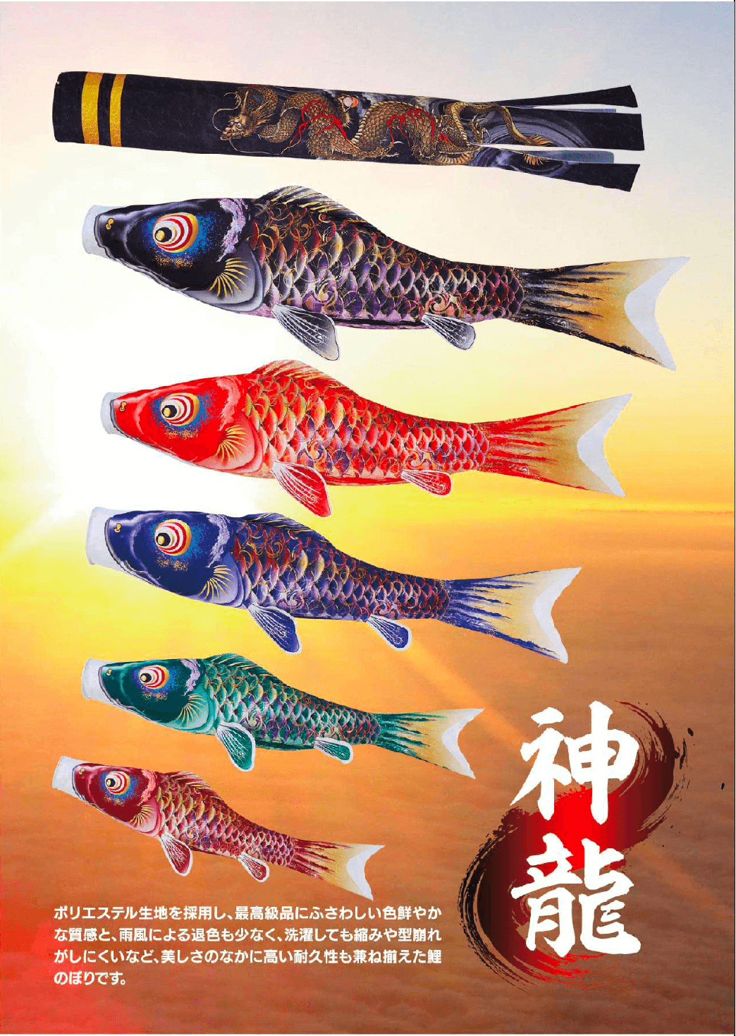 鯉のぼり　神龍