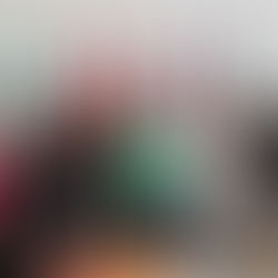 Е.В. Валюлина презентовала нашу международную магистерскую программу