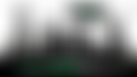 EVOLVEkids NINJA Night Out (Jan. 25th)