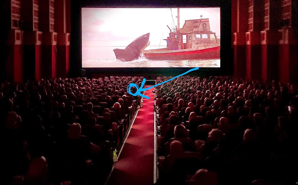 This picture was taken during a 2023 screening of "Jaws" at The Pickwick Theater in Park Ridge, Illinois. The circle and the arrow show where I was sitting that night...in Heaven!