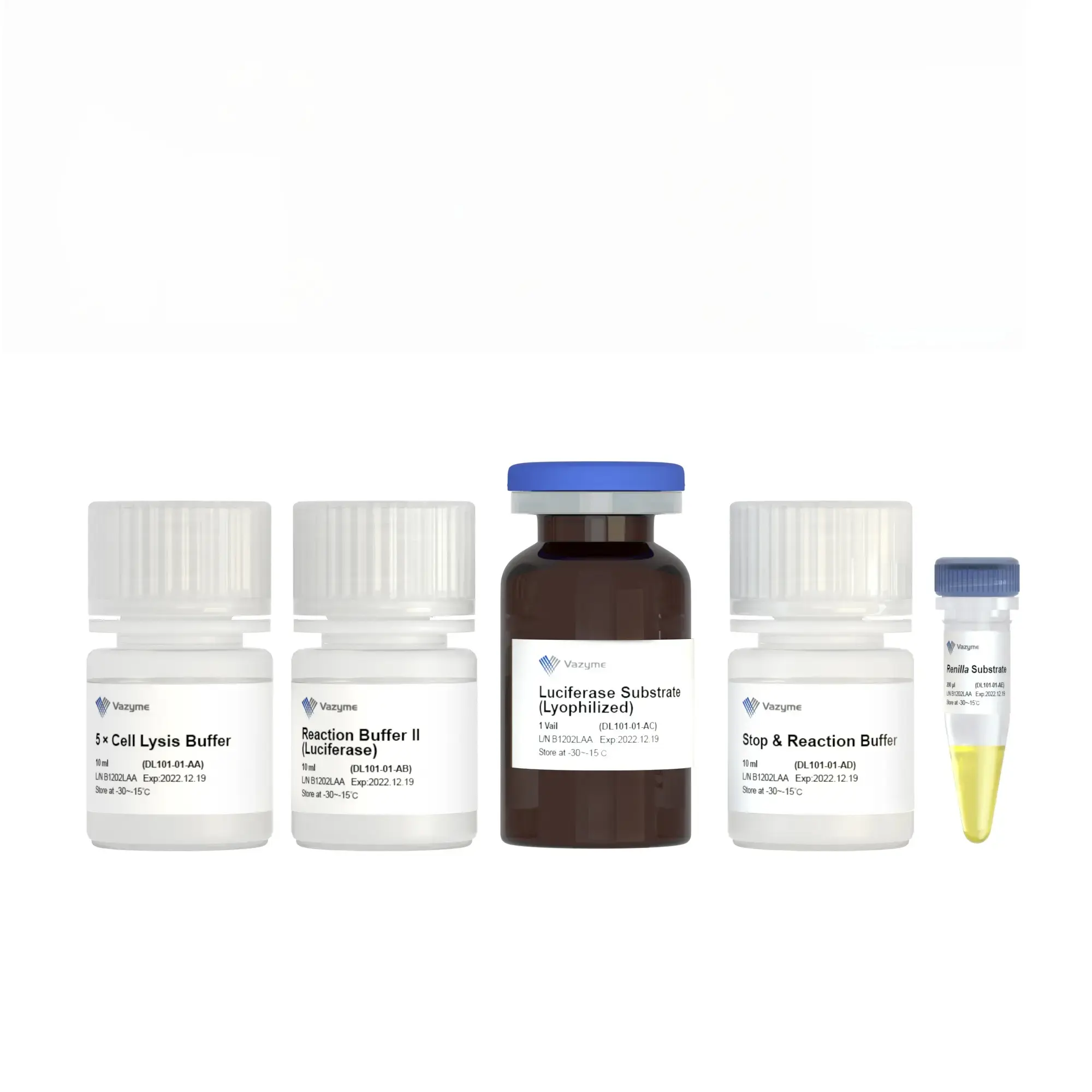 Dual Luciferase Reporter Assay Kit, SKU: DL101