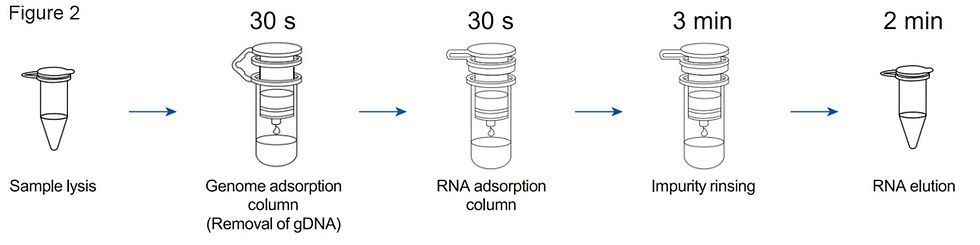Thumbnail: FastPure Cell/Tissue Total RNA Isolation Kit, SKU: RC112