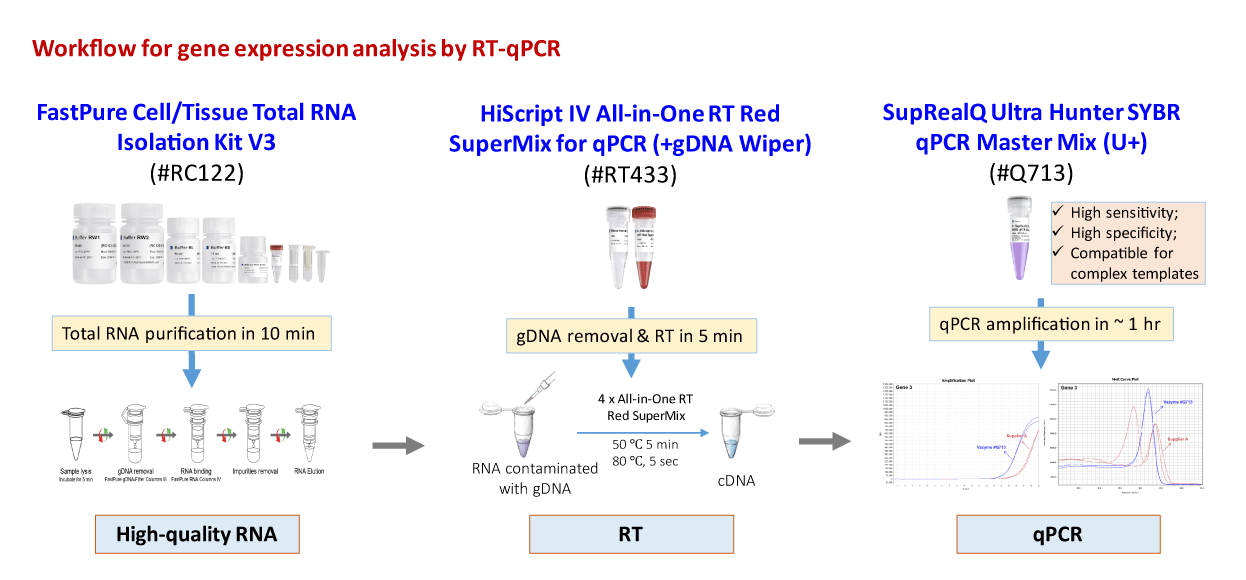 RT433-RTqPCR-workflow.gif