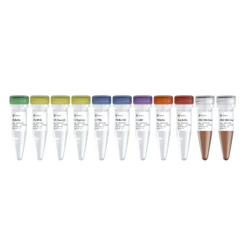 Hyperactive ATAC-Seq Library Prep Kit, SKU: TD711 | TACT Genomics