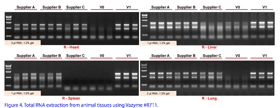 Thumbnail: Total RNA Isolation - FreeZol Reagent, SKU: R711