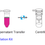 Thumbnail: VeZol-Pure Total RNA lsolation Kit, SKU: RC202