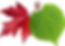 1 CSHS logo M.jpg