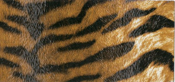 textura7.jpg