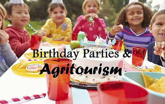 Birthday Parties and Agritourism