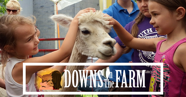 Downs On the Farm