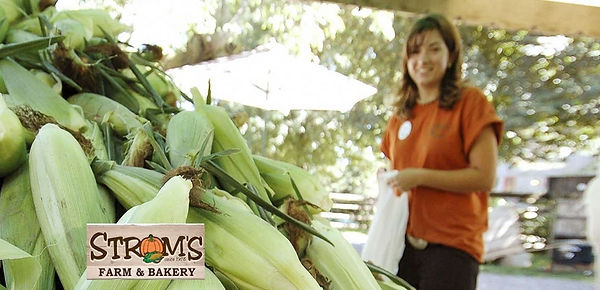 Strom's Farm and Bakery
