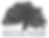 IMG_0012_edited_edited.png