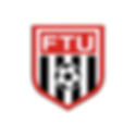 flint fc logo.png