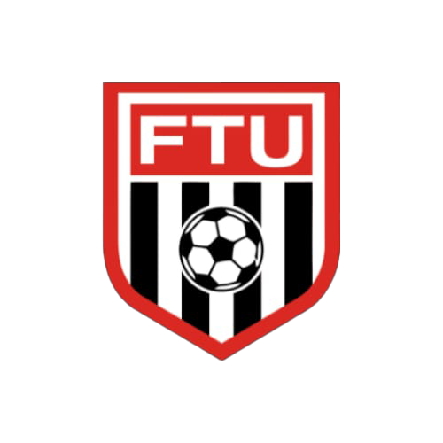 flint fc logo.png