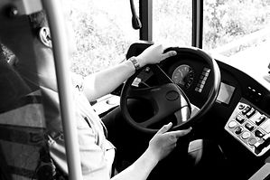 Professional Bus Drivers