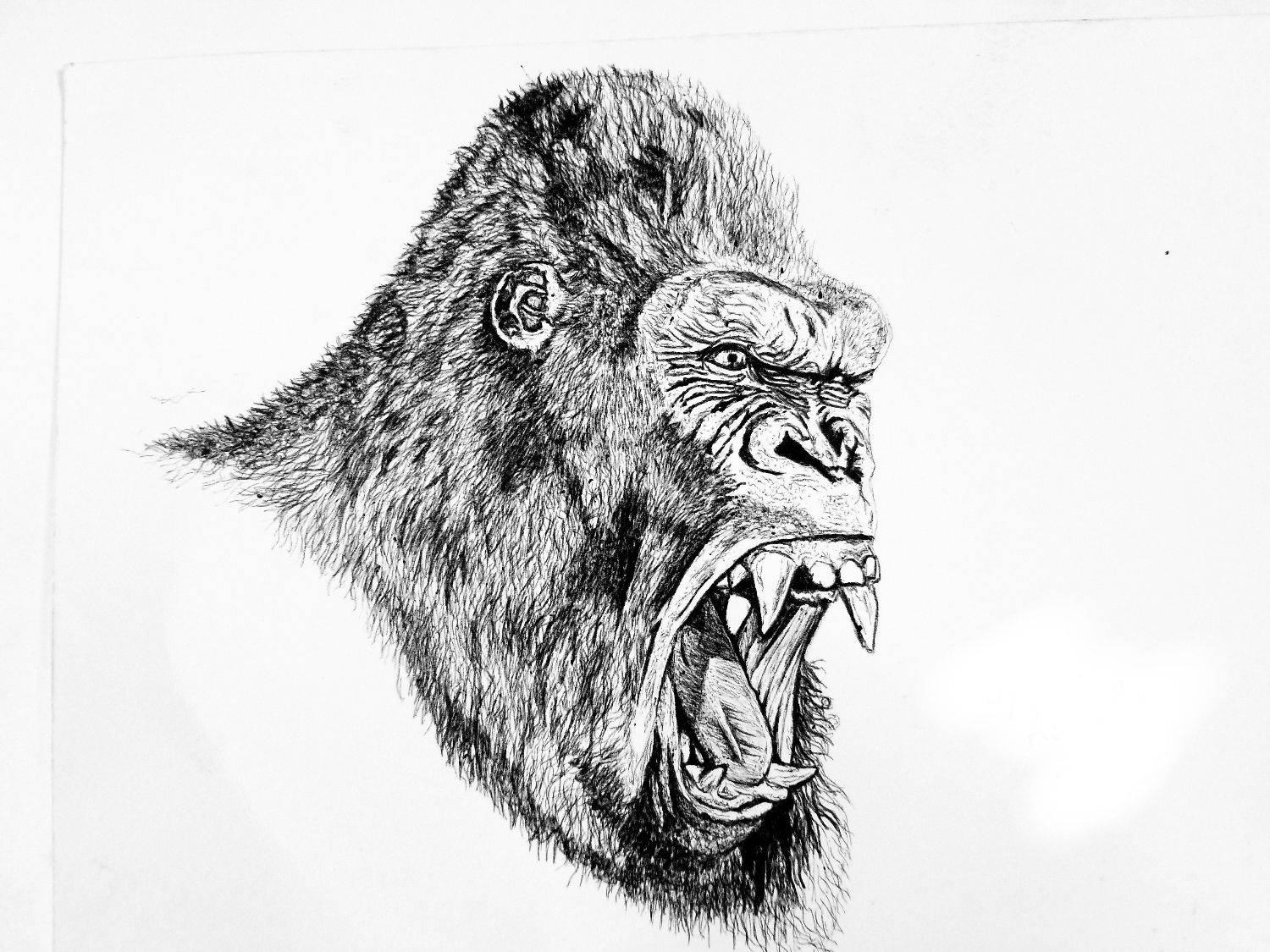 King Kong Drawing done with Black Ballpoint pen 