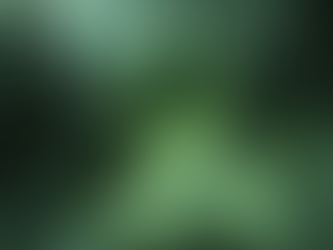 Session 31: The Eye That Guides