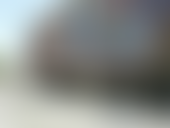 La política de la inanición