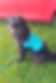 668880130_1727752495260606_4494791459755604219_n_edited.jpg