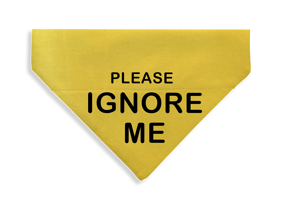 Thumbnail: Ignore Me Bandana - From $17