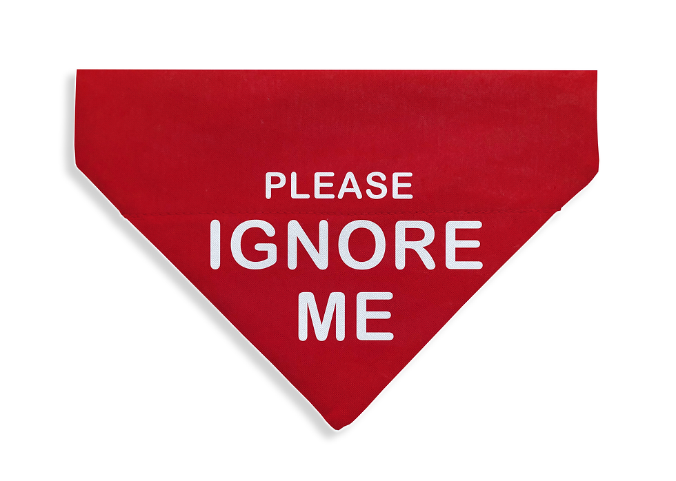 Thumbnail: Ignore Me Bandana - From $17