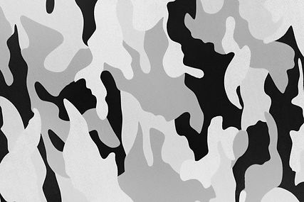 White black camouflage pattern fabric background texture. military and hunting clothes. wi