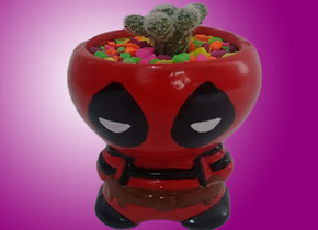 materas de superheroes deadpool suculentas cactus marvel universe plantas