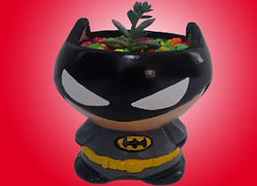 materas de superheroes batman suculentas cactus dc universe liga de la justicia plantas
