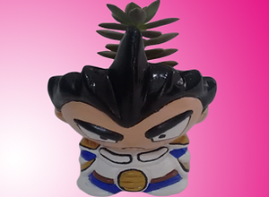 Materas de dragon ball z vegeta saiyajin suculentas cactus plantas anime