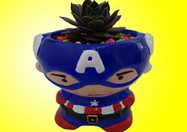 Materas de superheroes capitan america suculentas cactus plantas marvel vengadores