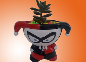 Materas de superheroes harley quinn villano de batman suculentas cactus plantas dc universe