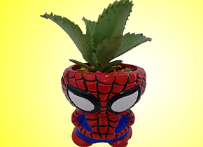Materas de superheroes spiderman hombre araña suculentas cactus plantas marvel universe vengadores
