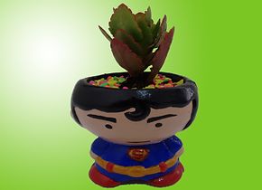 Materas de superheroes Superman suculentas plantas cactus dc universe liga de la justicia