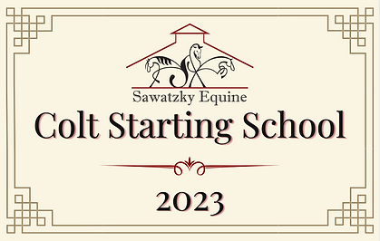 CSS 2023 Logo.png