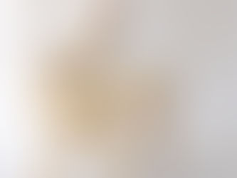 Tiago Curioni x Curioni