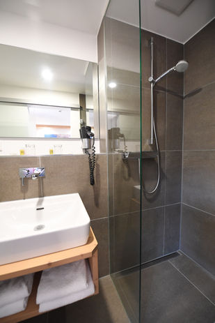 Bad grau Dusche Komfortzi. Haupthaus beim Butz .jpeg