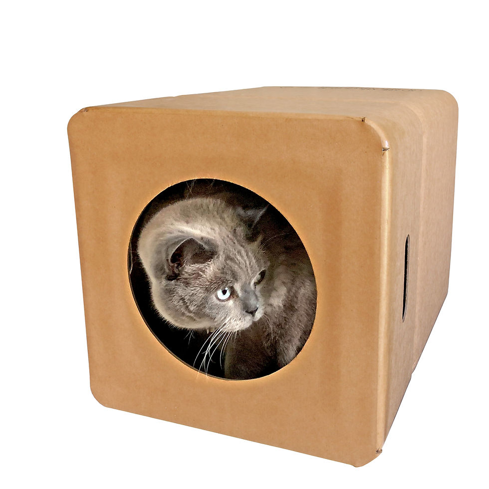Kattenhuisje