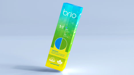 brio box.jpeg