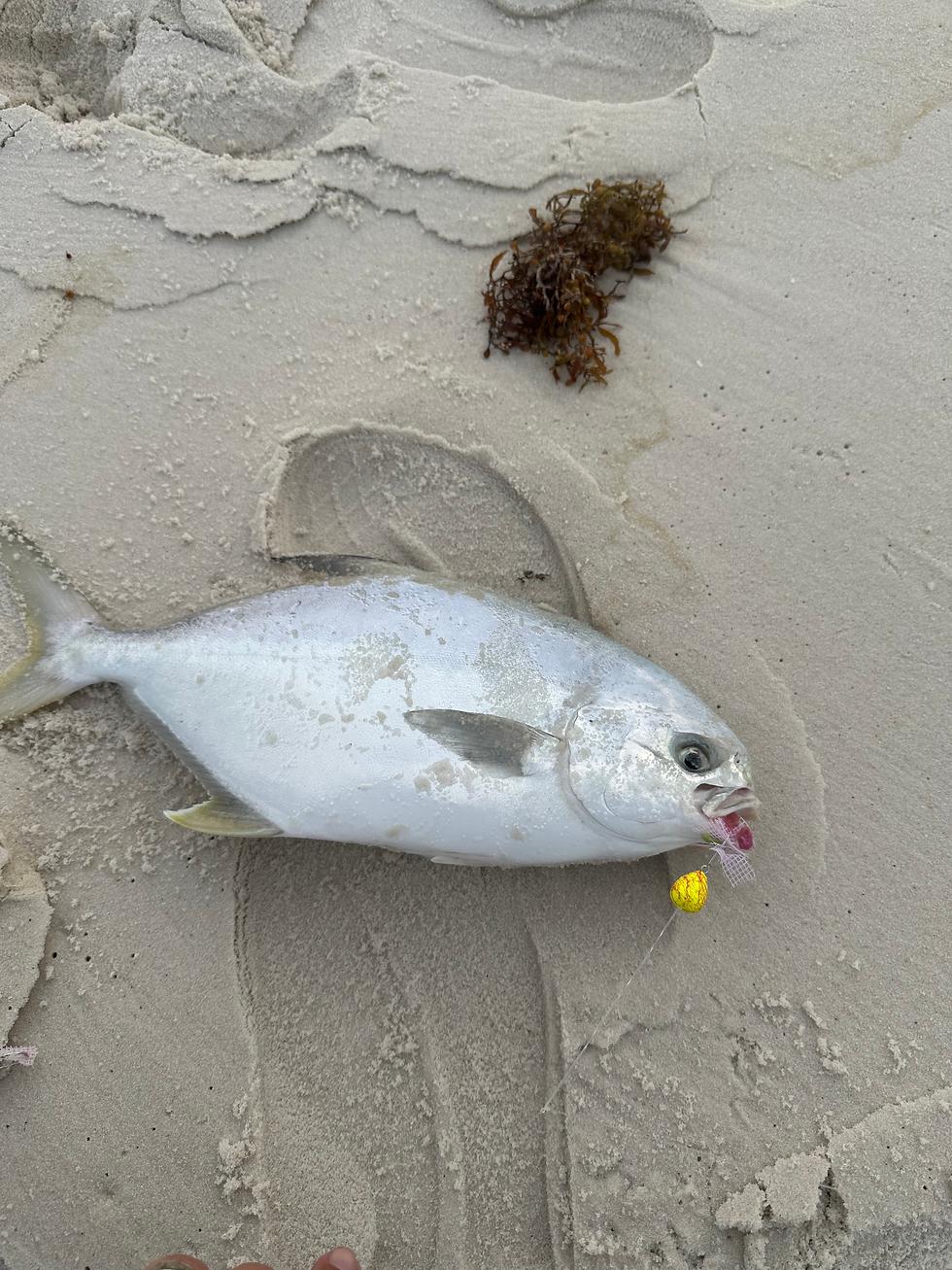 Thumbnail: Mexico Beach