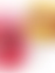 Integração ou Transformação? Ambos!