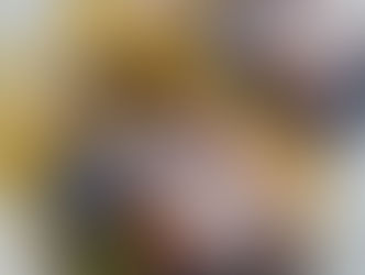 chFILES2月20日発行号、本日より配布開始!